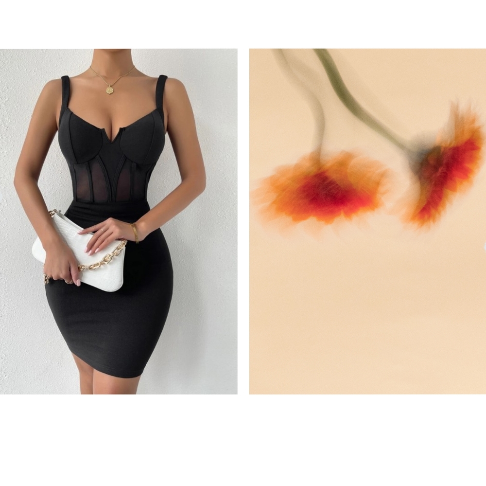 Sleeveless Sheer Mesh Corset Dress